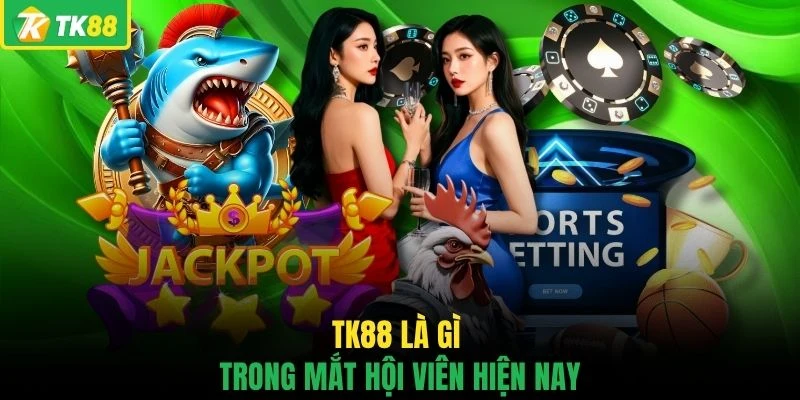 TK88 là gì trong mắt hội viên hiện nay